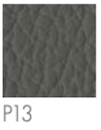 P13 Smoke Grey